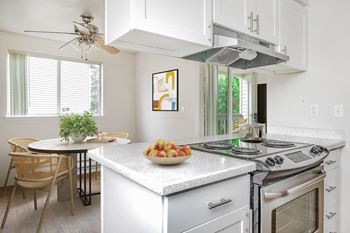 Entertainment style kitchen